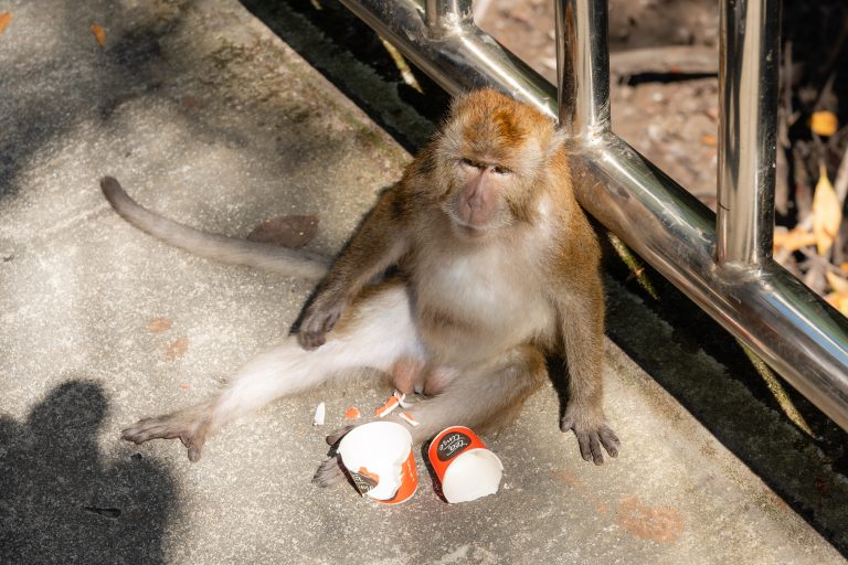 Langkawi_002