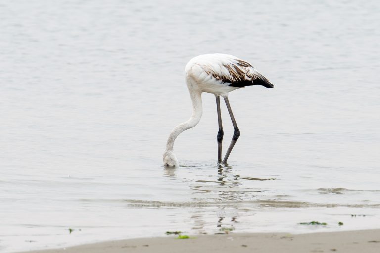 Walvis Bay_001